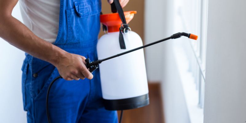 Como Fazer Dedetização em Casa em Cuiabá: 4 Dicas Simples Como fazer dedetização em casa em Cuiabá